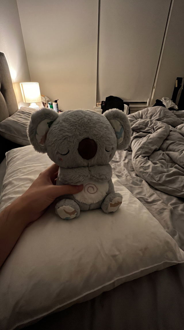 Una mano deja a Mimo sobre la almohada